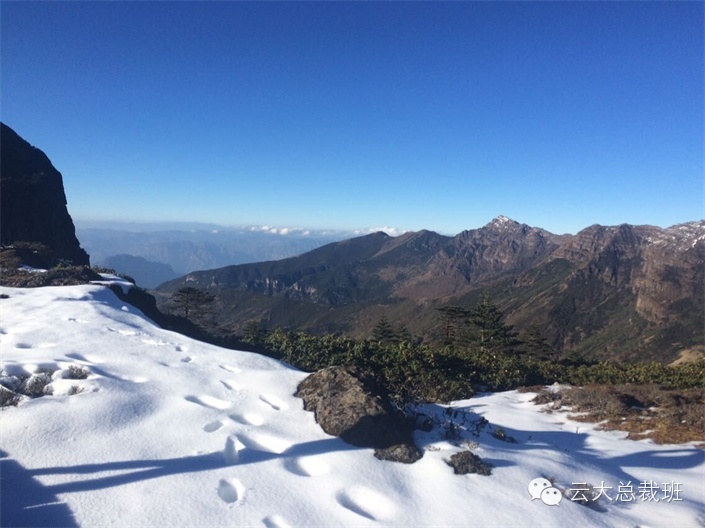 轿子雪山