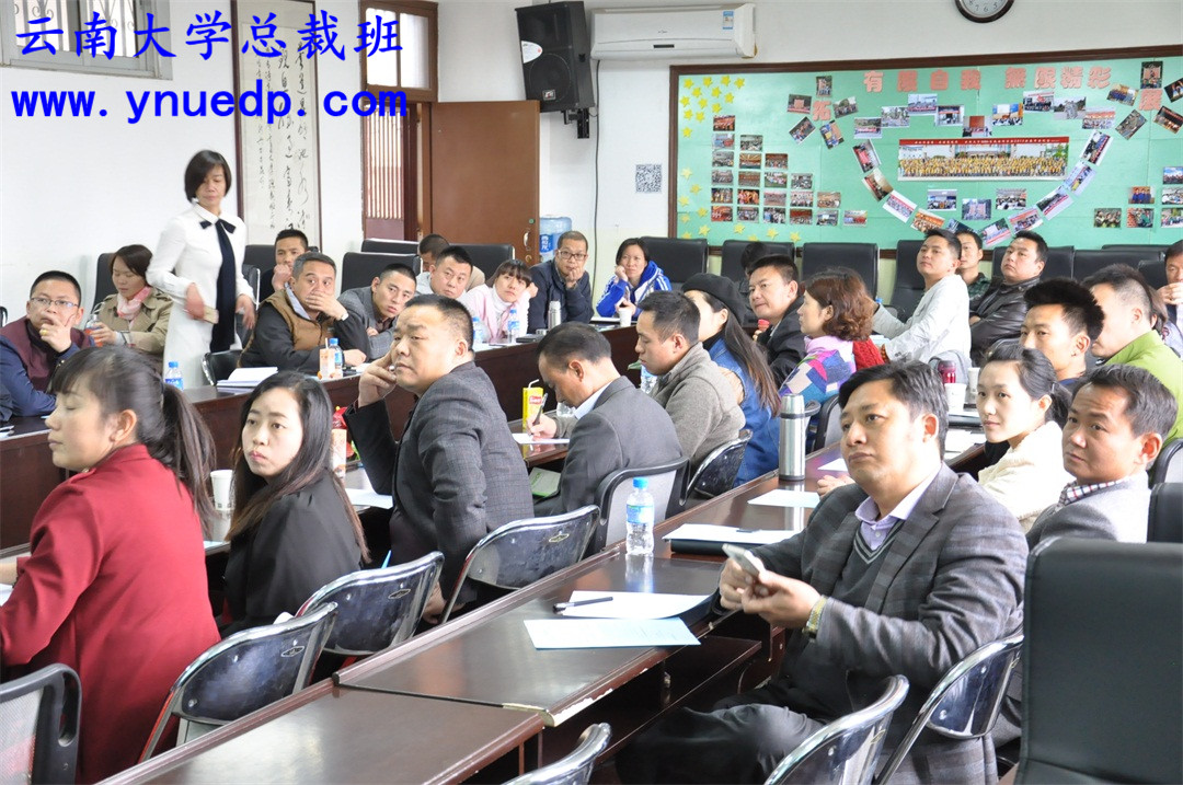 云大总裁班第28届行业沙龙