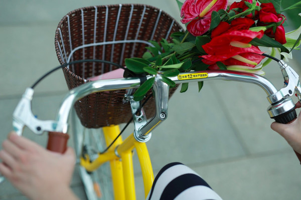 云大总裁班.ofo“公主车”专为女性量身定做