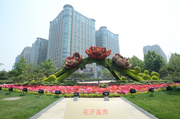 云大总裁班.“海上新力量”成为“增长点”