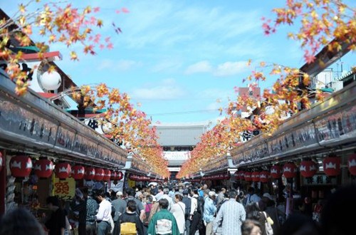 云大总裁班.大陆游客“挤爆”日本