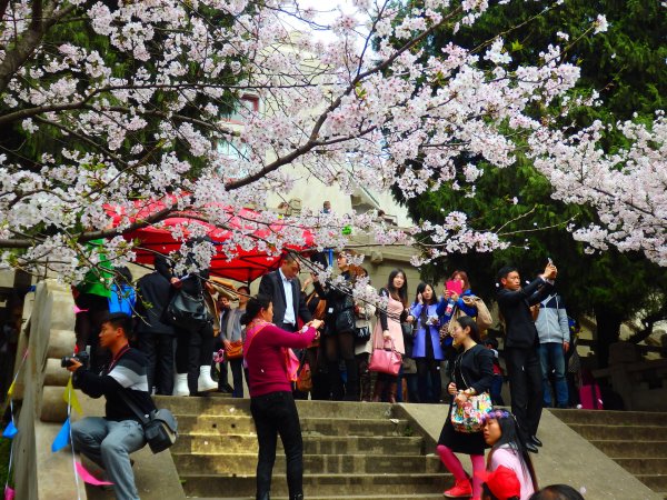 云大总裁班.大陆游客“挤爆”日本