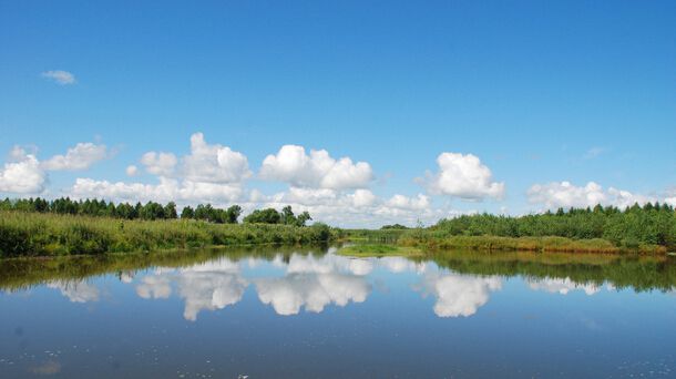 云大总裁班.中国领跑全球能源转型