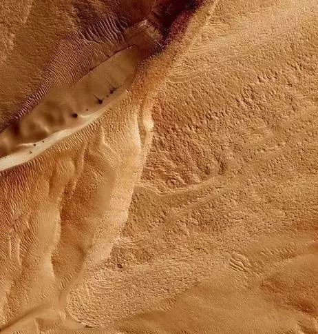 云大总裁班.马斯克的火星船票