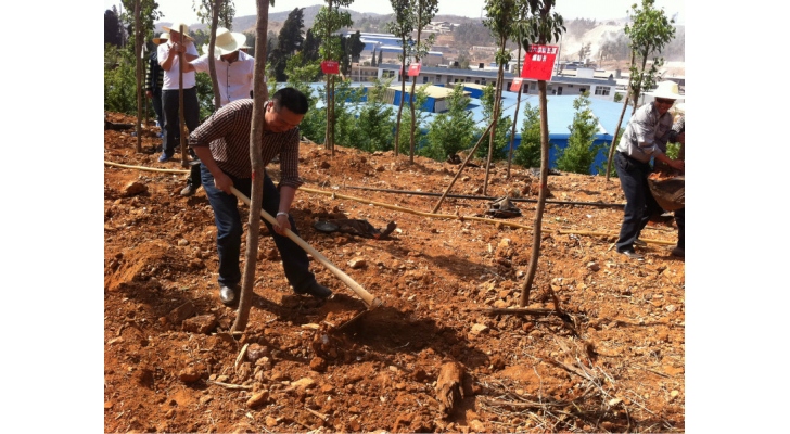 云大总裁五班学员参加植树活动